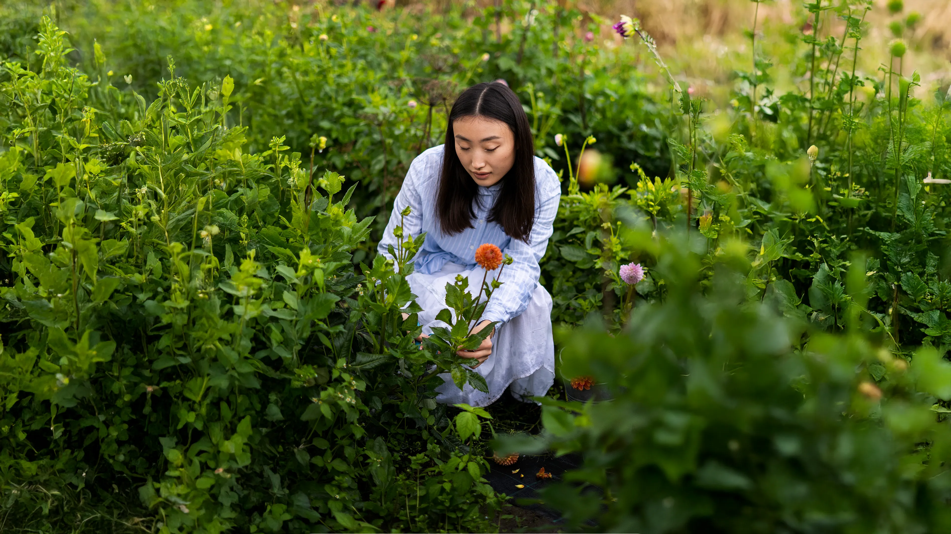 天然由来成分の研究を行うラボ風景